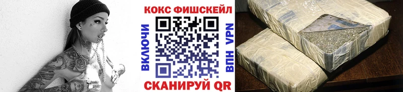 COCAIN Fish Scale  Купить где  Кизилюрт 
