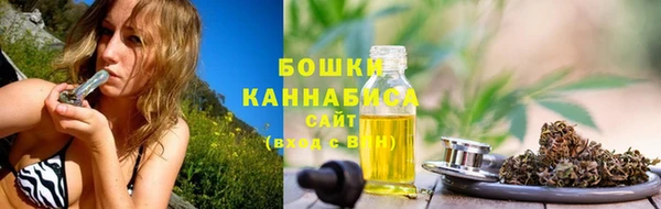 МДПВ Волоколамск