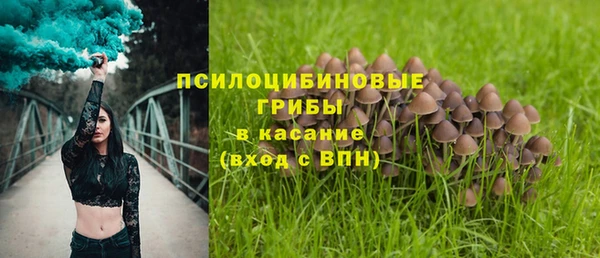 МДПВ Волоколамск