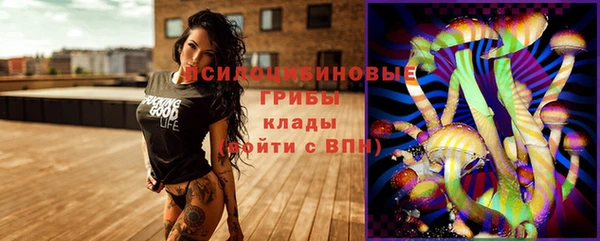 спиды Володарск