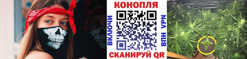 Купить закладки  Кизилюрт  Канабис конопля 
